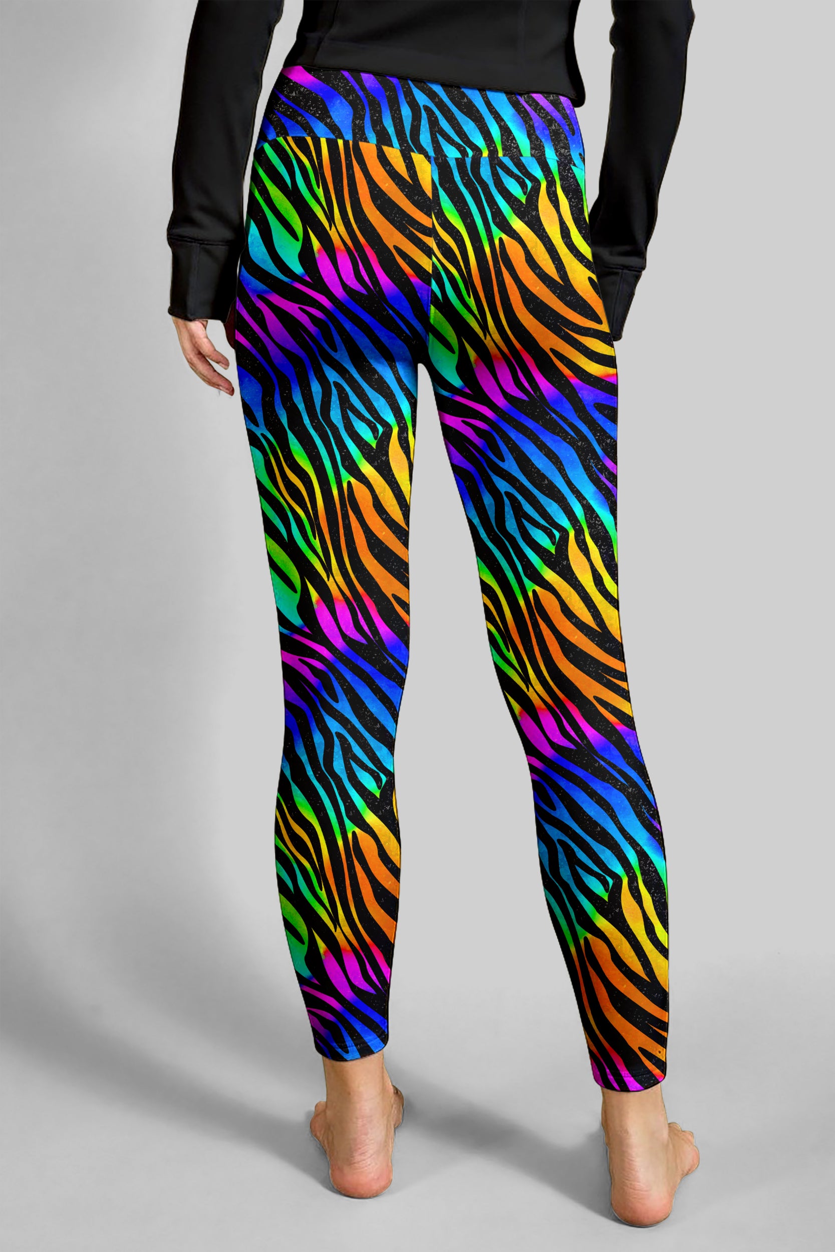 Rainbow Zebra