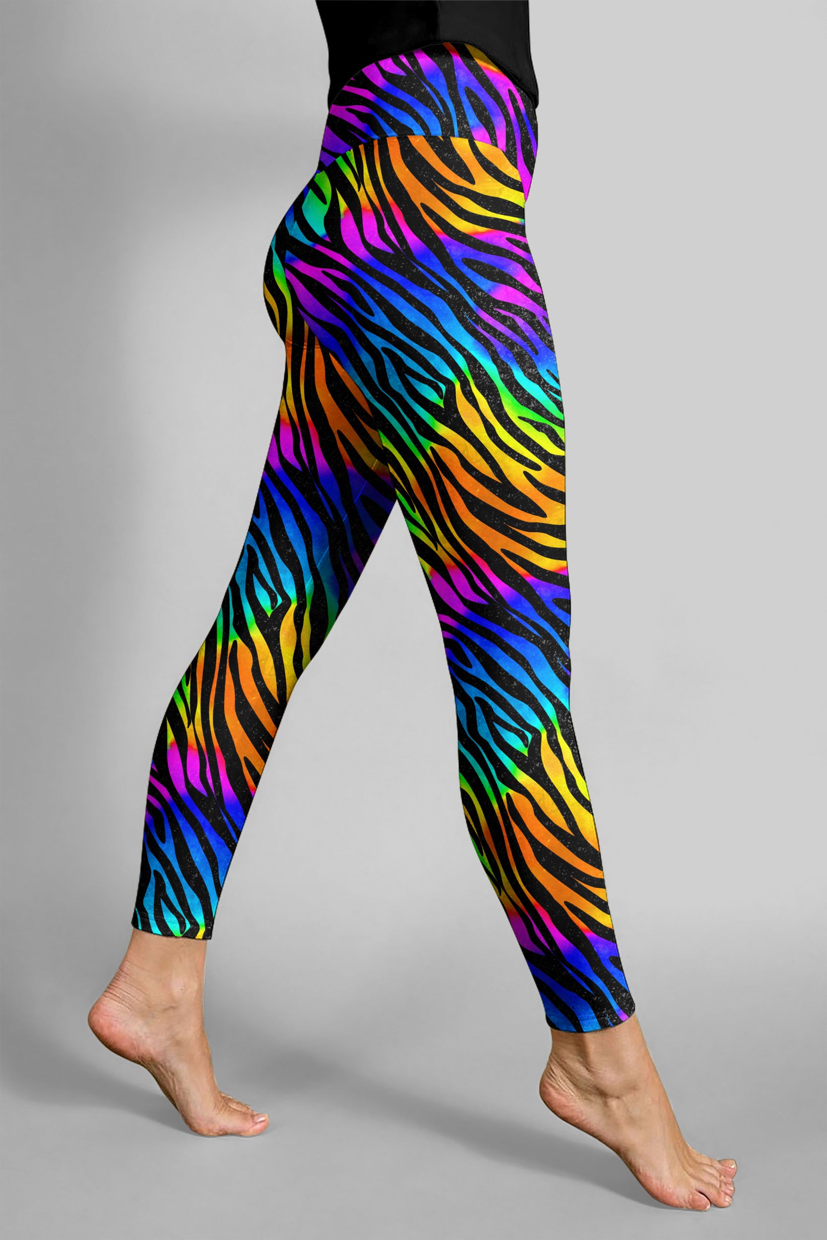 Rainbow Zebra